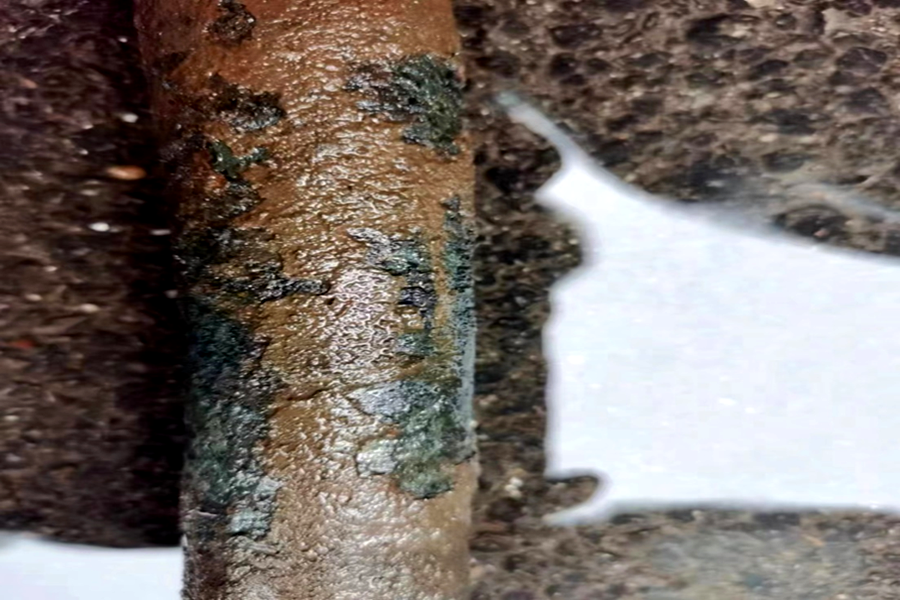 bevictor伟德官网 - 韦德官方网站