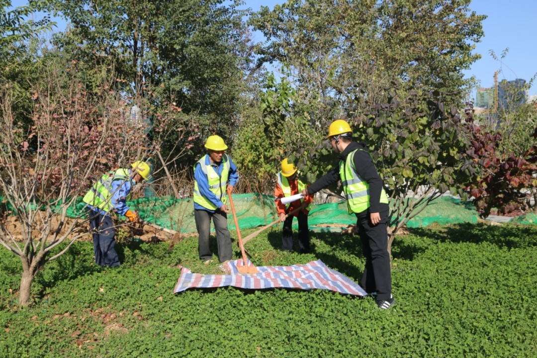 bevictor伟德官网 - 韦德官方网站