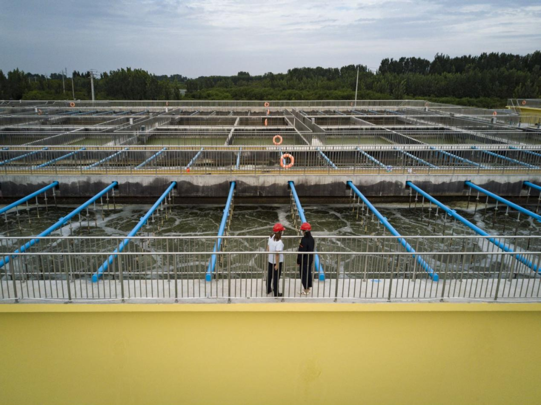 bevictorΰµÂ¹ÙÍø - ΤµÂ¹Ù·½ÍøÕ¾