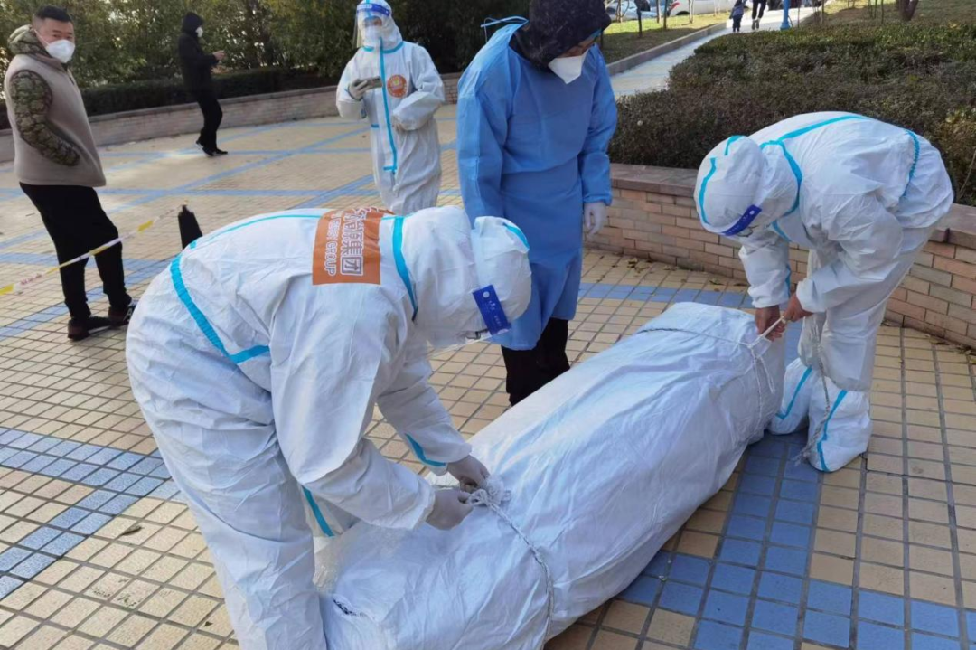 bevictorΰµÂ¹ÙÍø - ΤµÂ¹Ù·½ÍøÕ¾