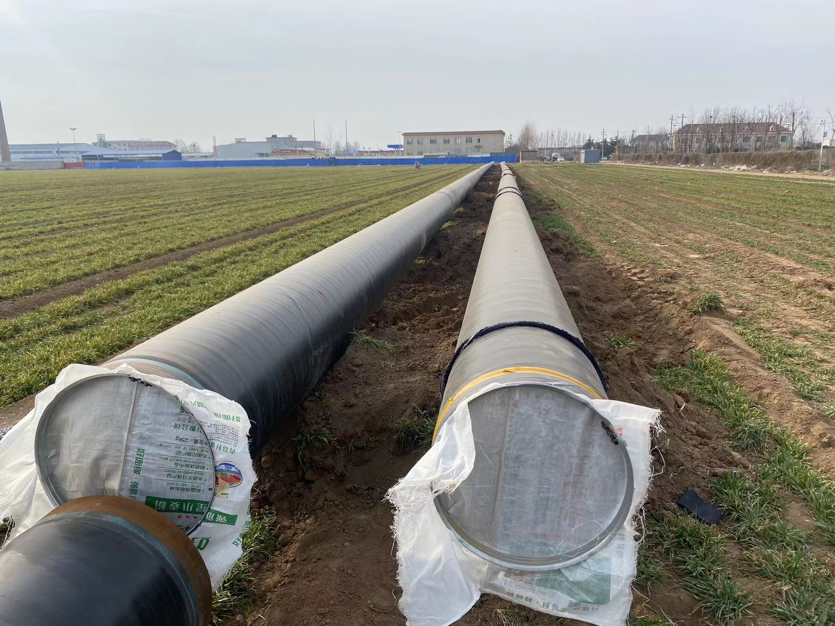 bevictor伟德官网 - 韦德官方网站